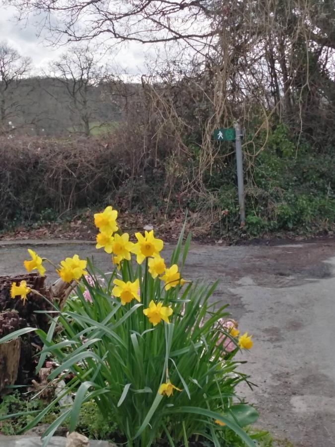 The Mill Cottage Llechryd Екстериор снимка