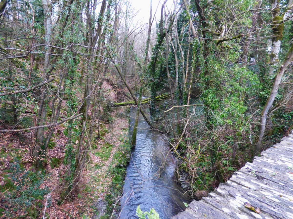 The Mill Cottage Llechryd Екстериор снимка